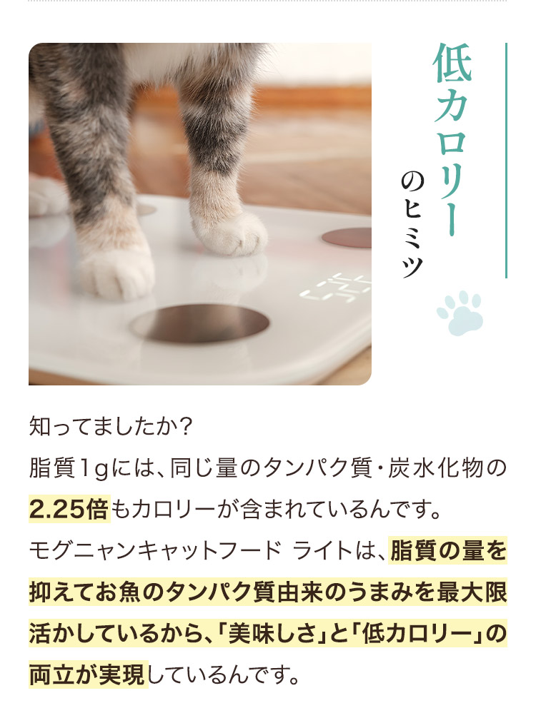 低カロリーのヒミツ