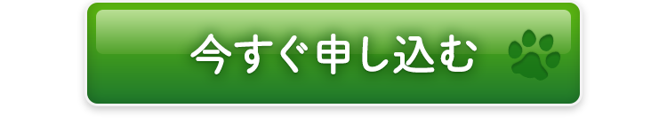 今すぐ申し込む