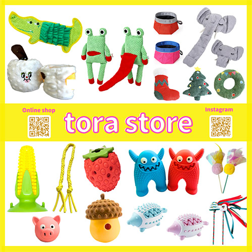 torastore