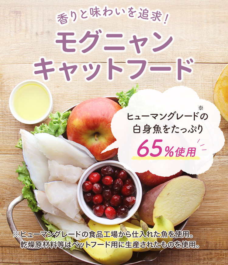 モグニャンキャットフード