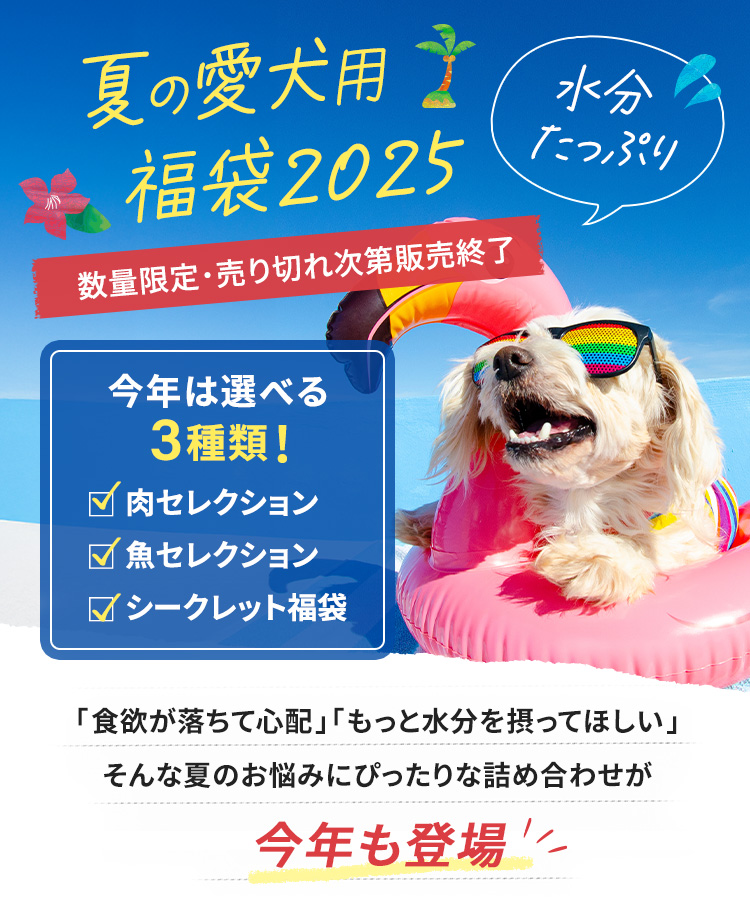 夏の愛犬用福袋2025