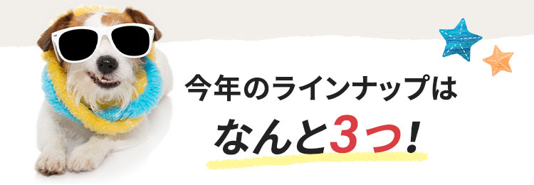今年のラインナップはなんと3つ!
