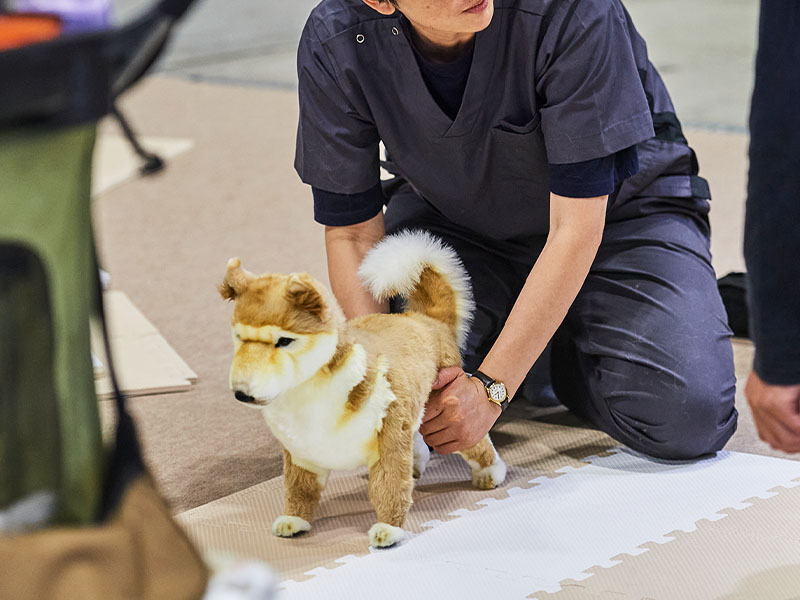 愛犬と体験