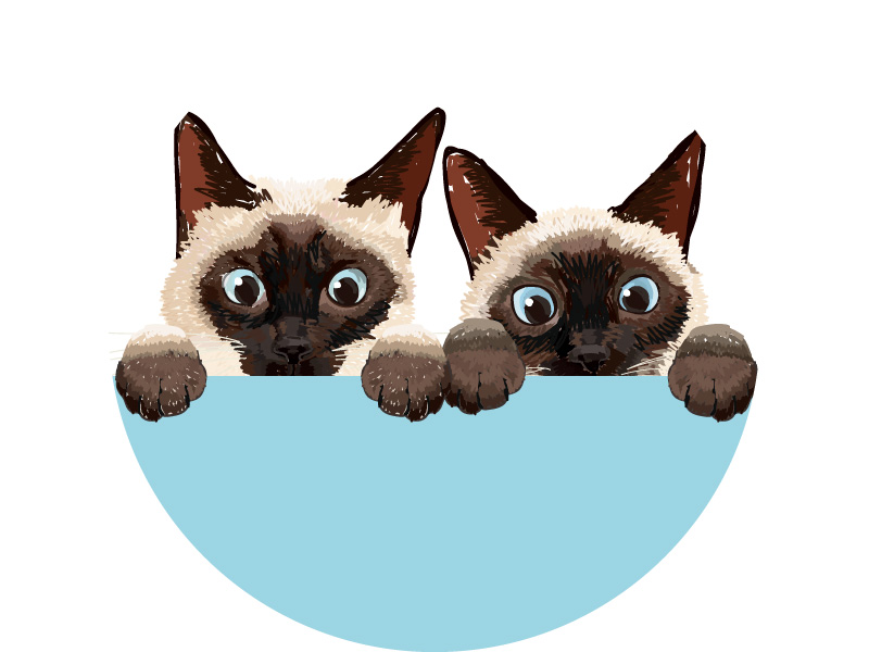 人気イラストレーター・Coonyさん