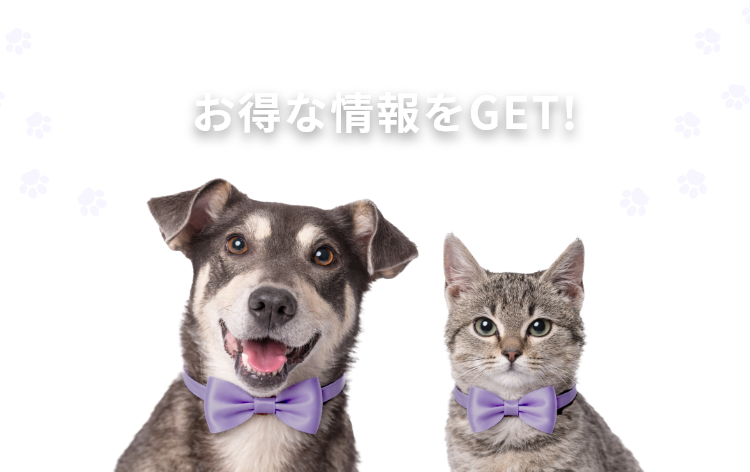 お得な情報をゲット