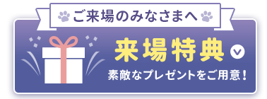 来場特典▼